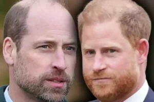 Prince Harry Hit With Shocking News — And It Could Widen the Rift With Prince William...Full Details below
